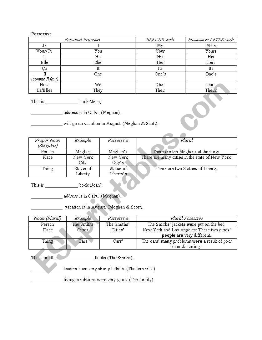 Possessive Adjectives Chart & Activity