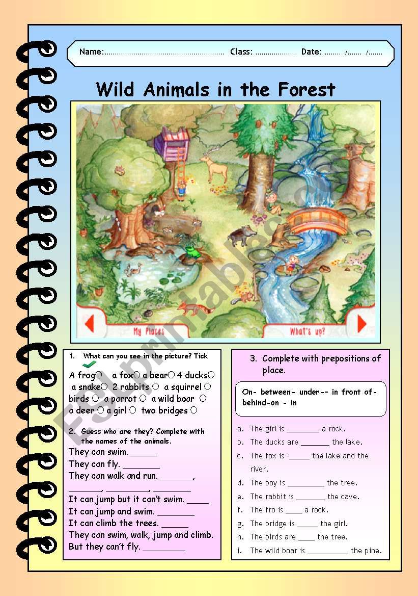 Wild Animals in the Forest! worksheet