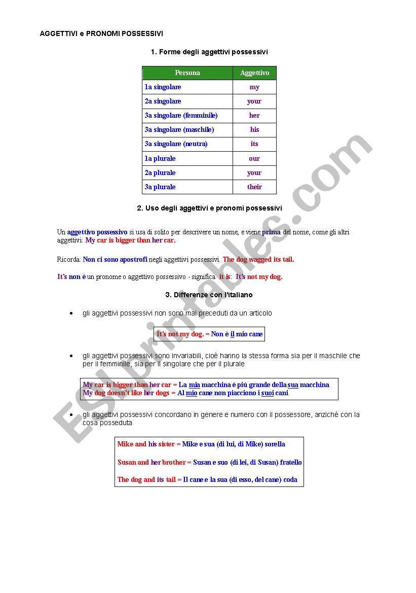 adjectives possessives worksheet