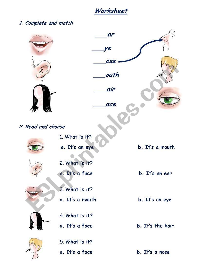 Parts of the face worksheet