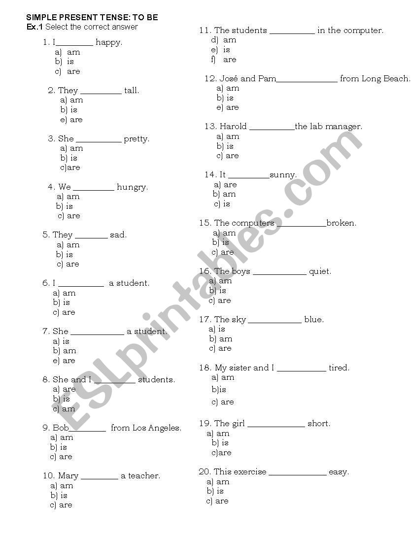 Simple present of the verb to be