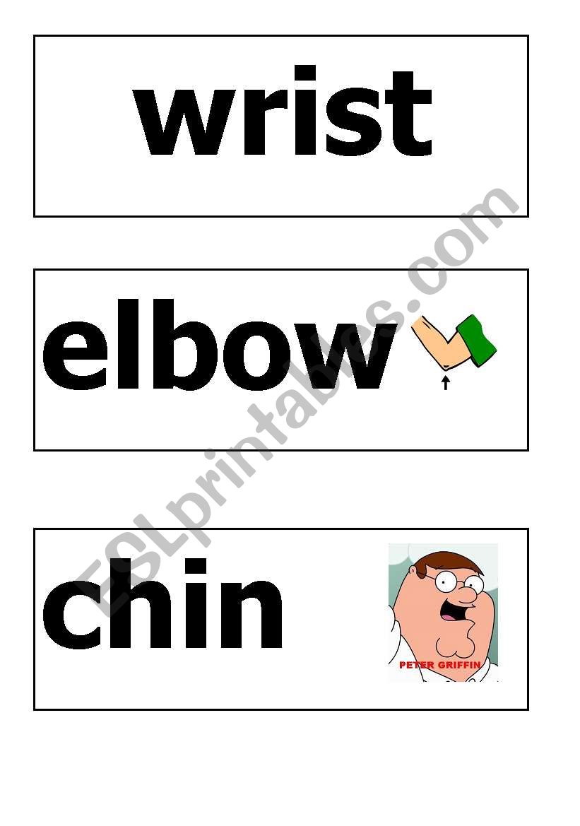 past of the body flash cards worksheet