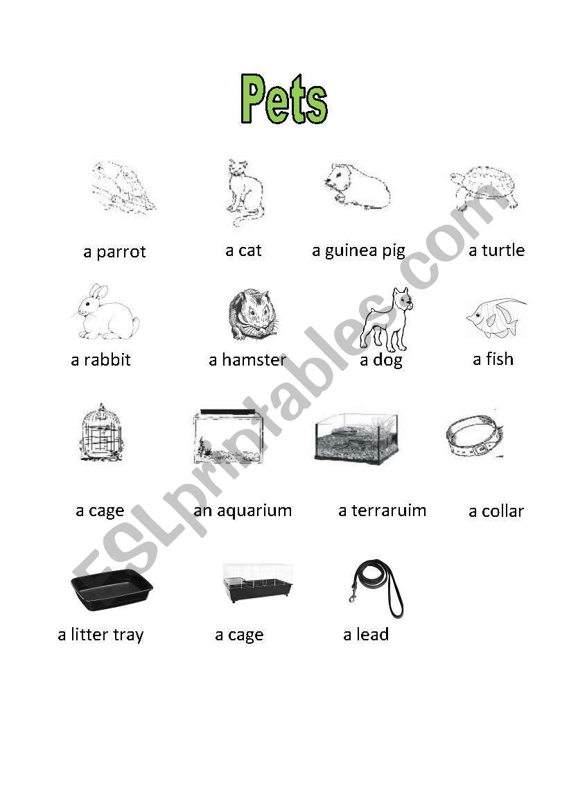 pets worksheet