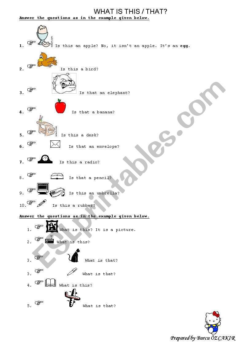 WHAT IS THIS? worksheet