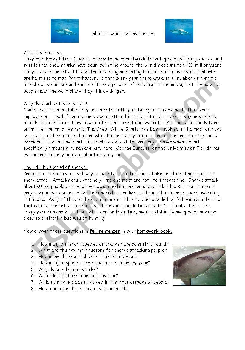 Shark reading comprehension worksheet