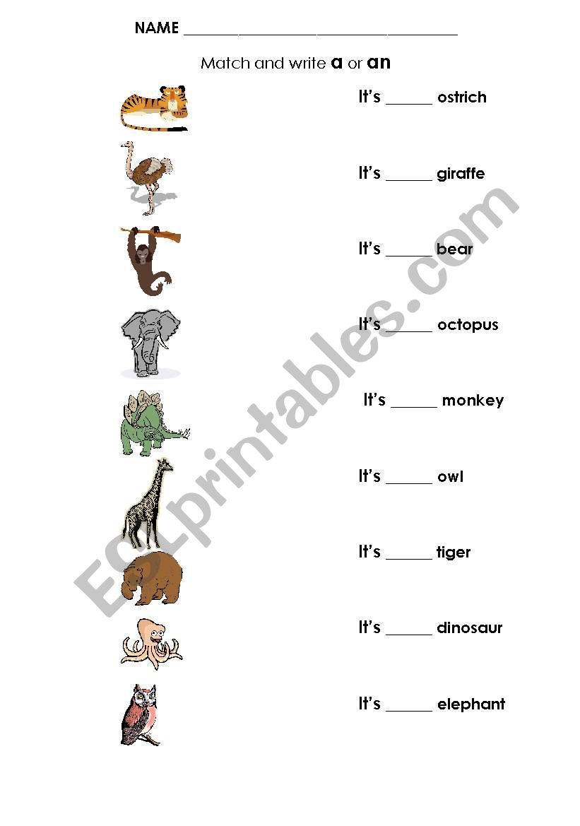 Animals worksheet