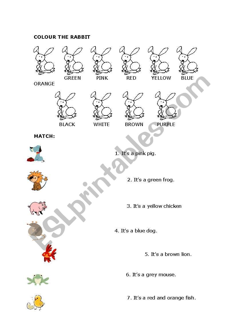 About animals worksheet