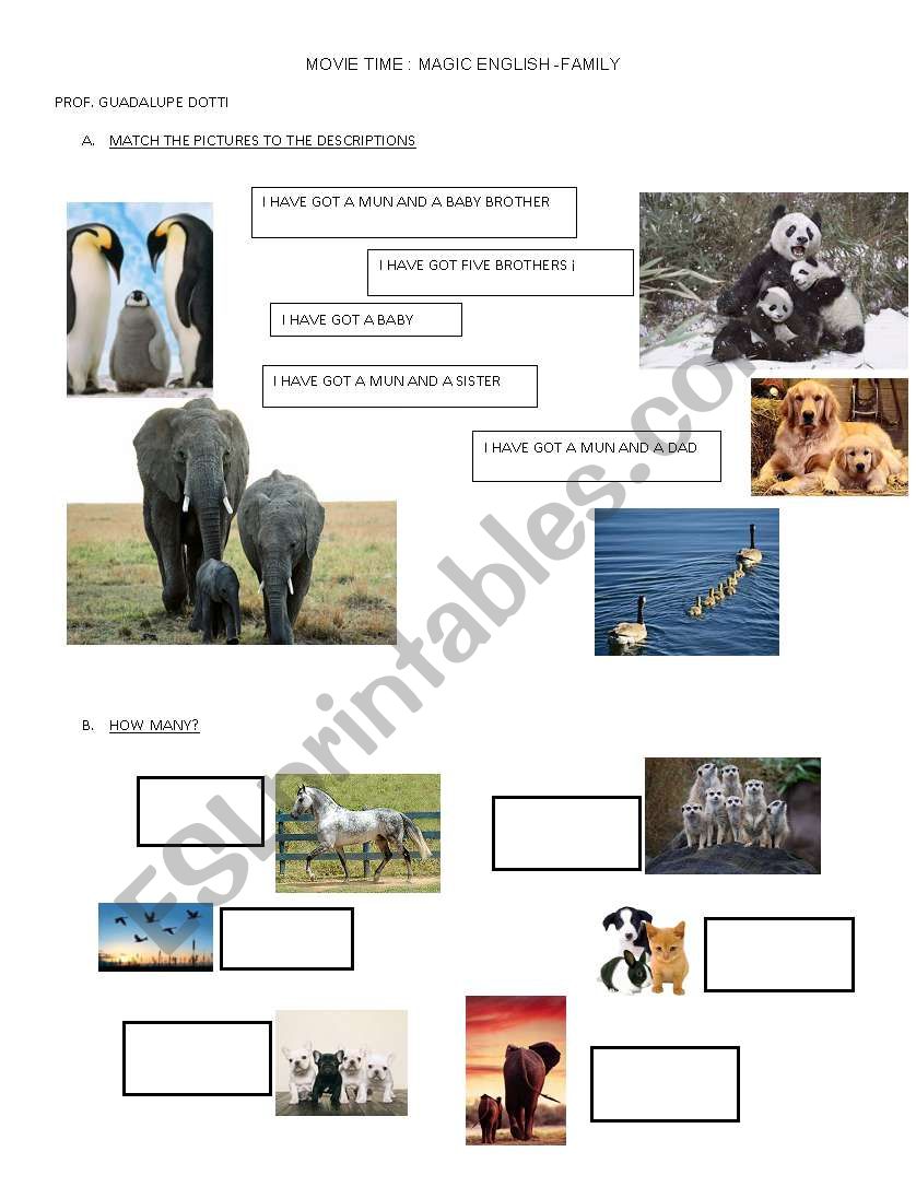 Family and Numbers worksheet