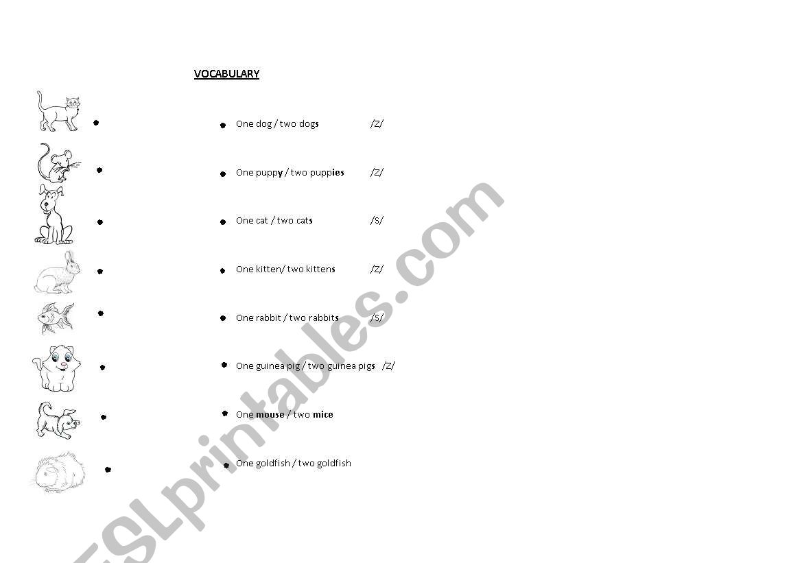 pet matching exercise worksheet