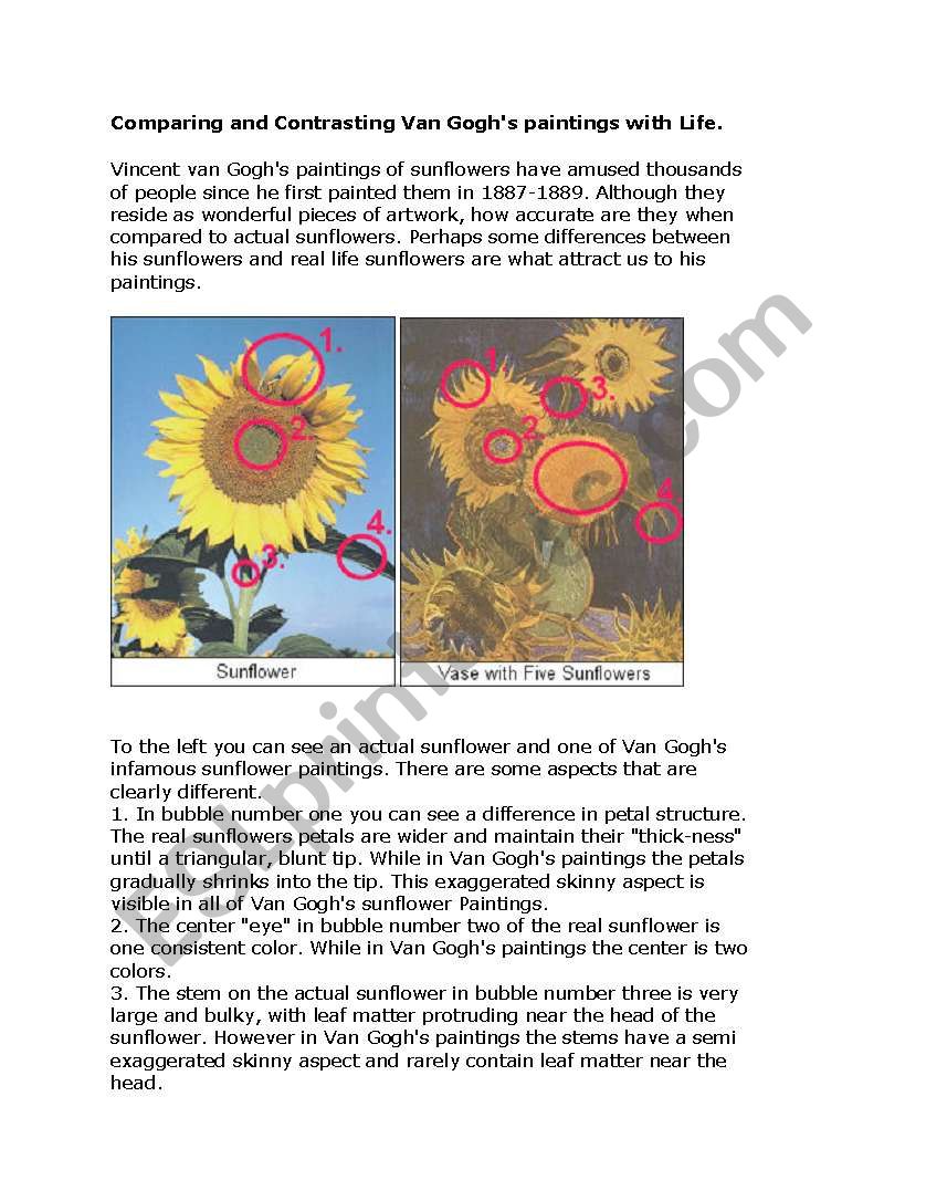 comparing and contrasting Van GoghÂ´s Sunflowers