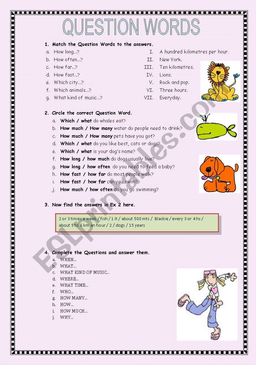 QUESTION WORDS worksheet