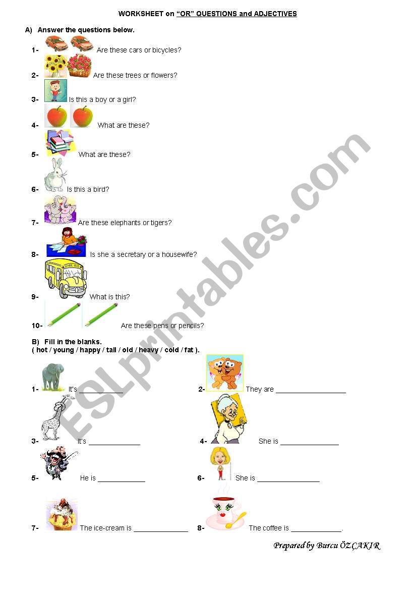 DEMONSTRATIVES worksheet