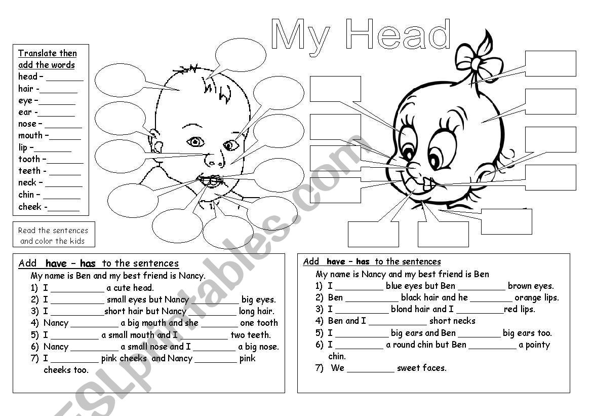 My Head worksheet