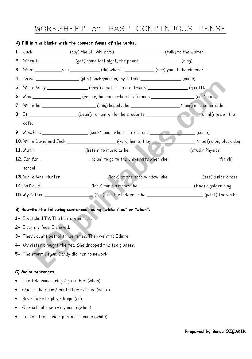 PAST CONTINUOUS TENSE worksheet