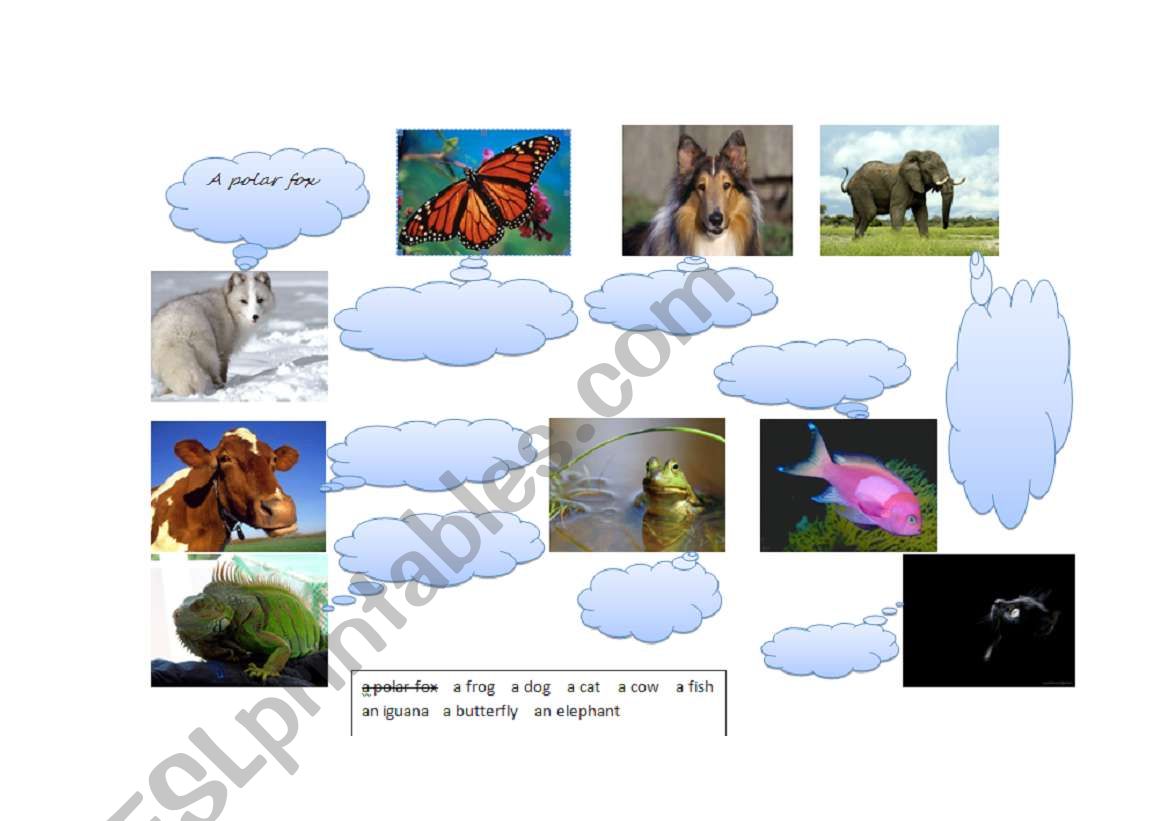 Animals worksheet