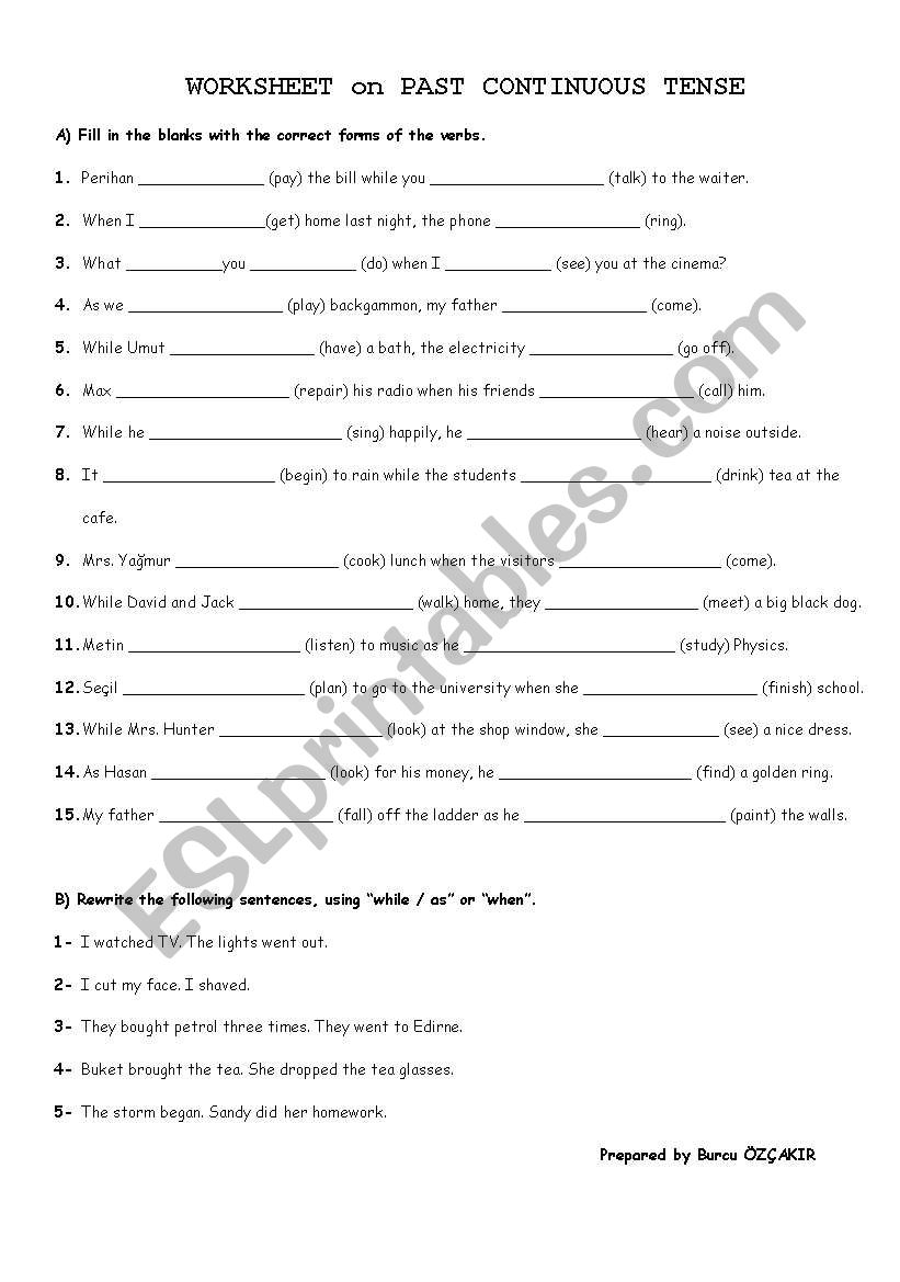 PAST CONTINUOUS TENSE worksheet