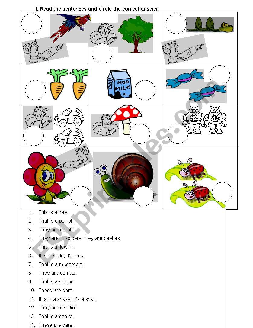 READING COMPRENHENSION - DEMONSTRATIVES 