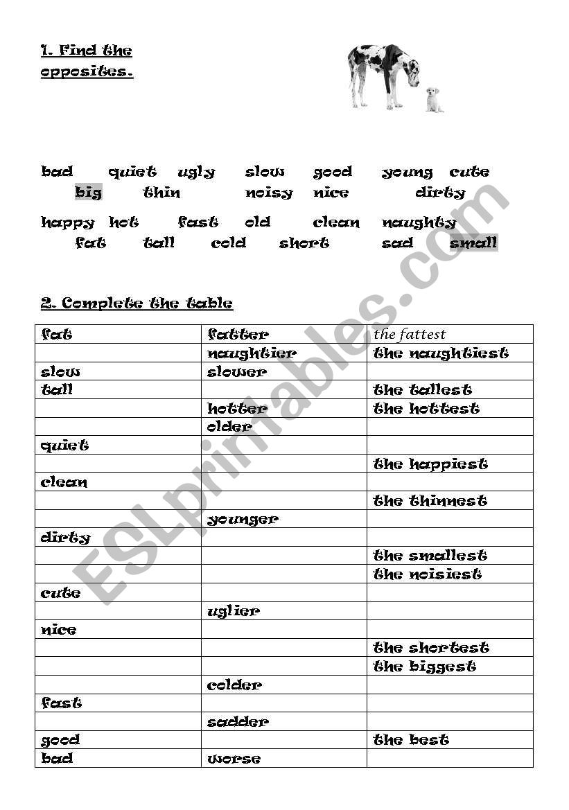 Comparison worksheet worksheet