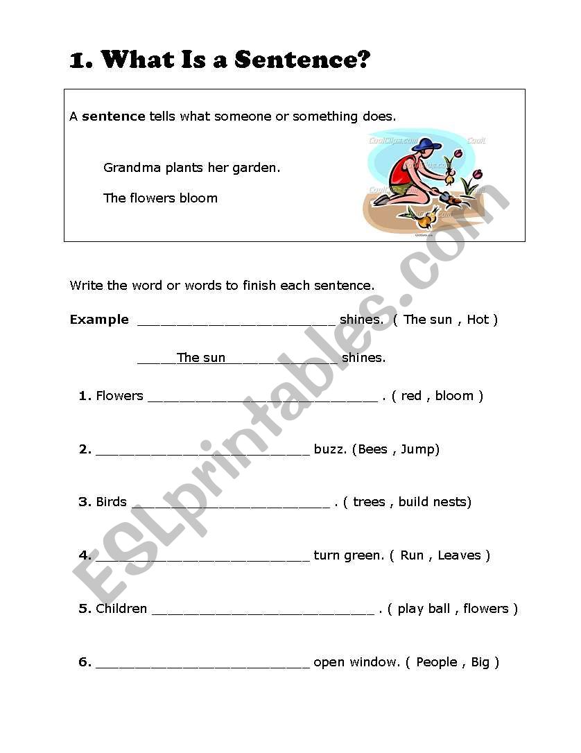 What Is a Sentence? worksheet