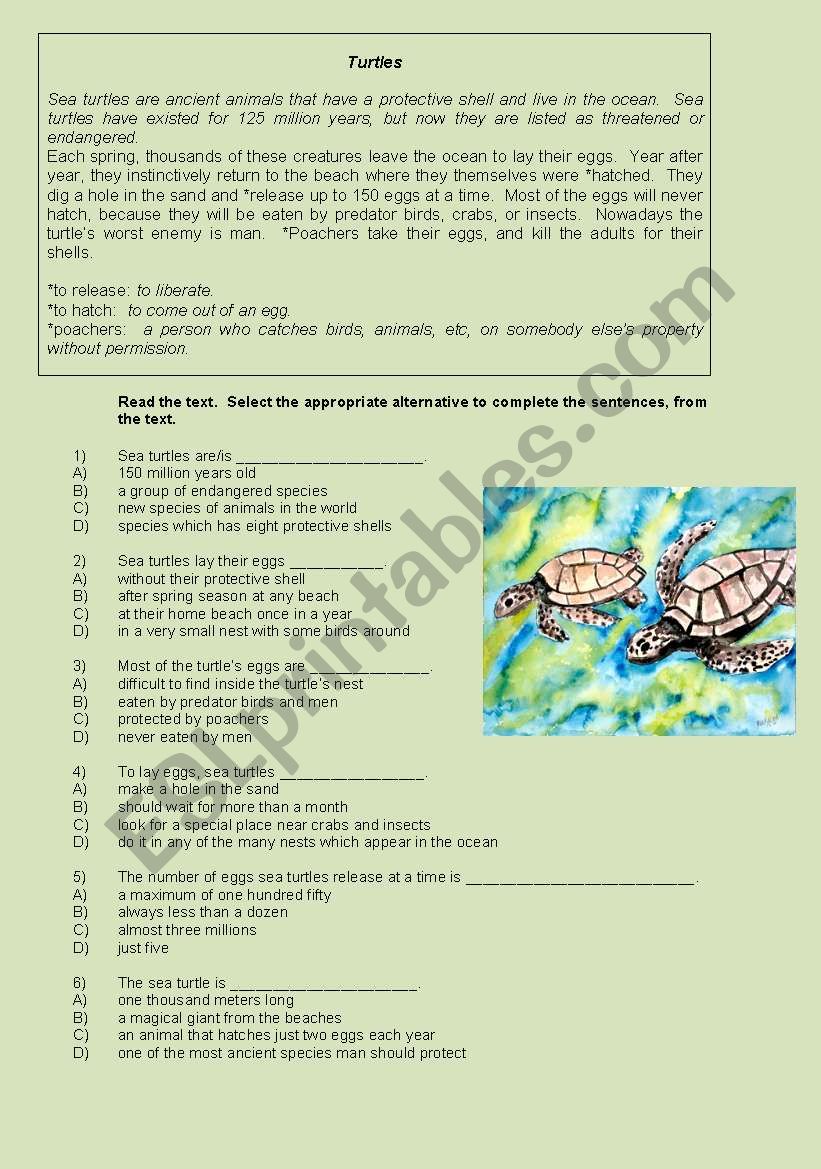 SEA TURTLES. - ESL worksheet by gigi23