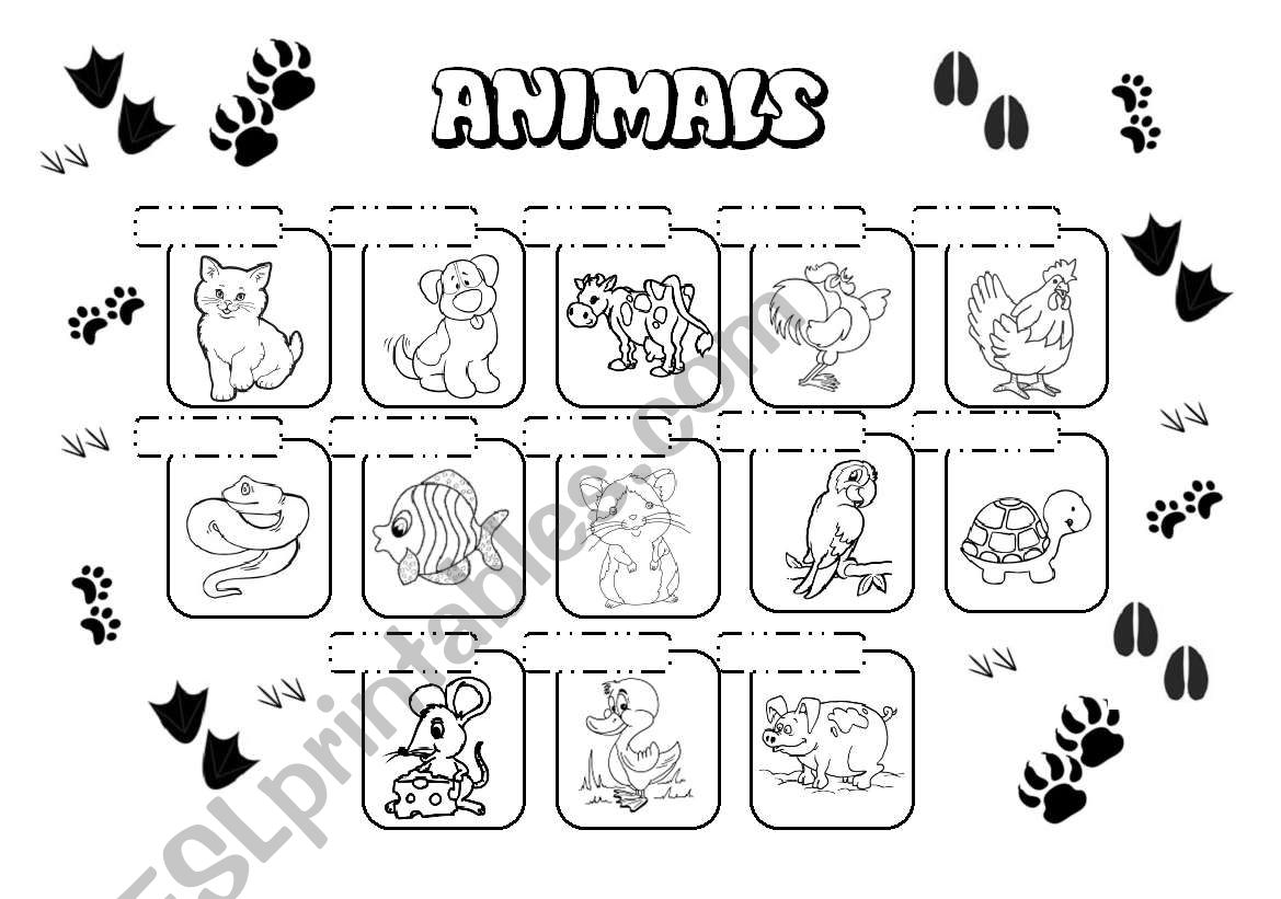 Animals worksheet