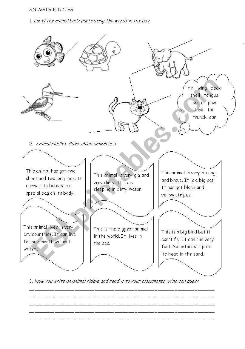 Animal body parts worksheet