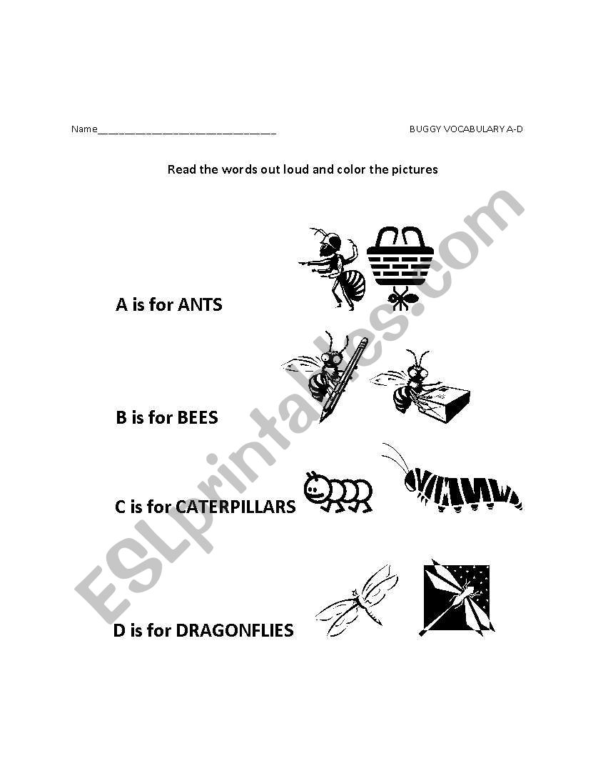 Buggy Vocabulary A-D worksheet