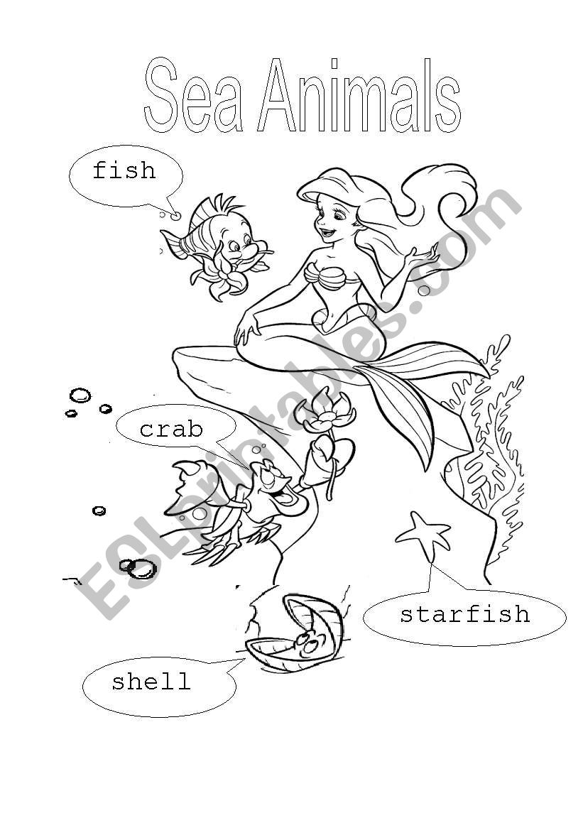 Sea animals worksheet