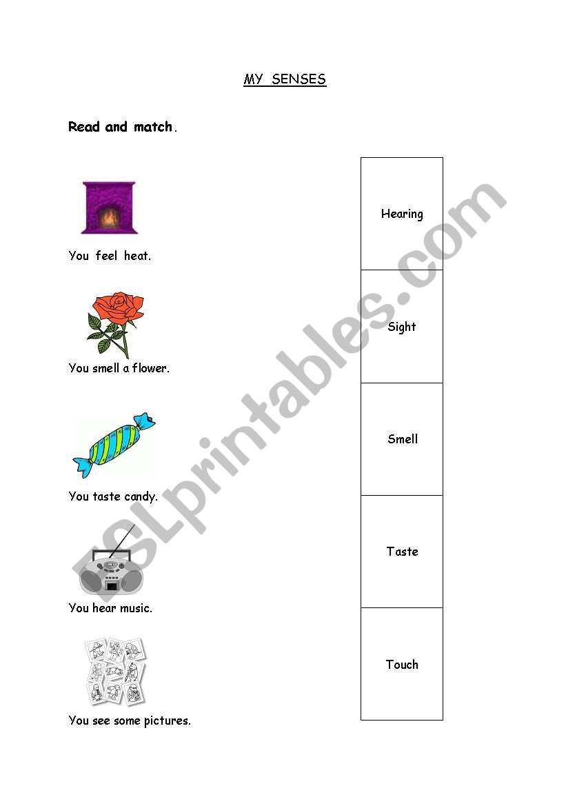 My Senses worksheet