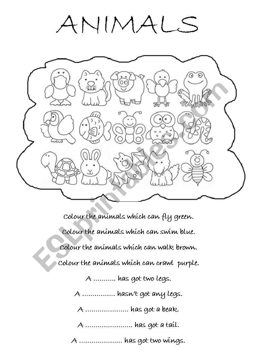 ANIMALS worksheet