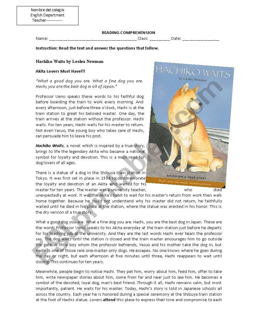 hachiko explanatory essay