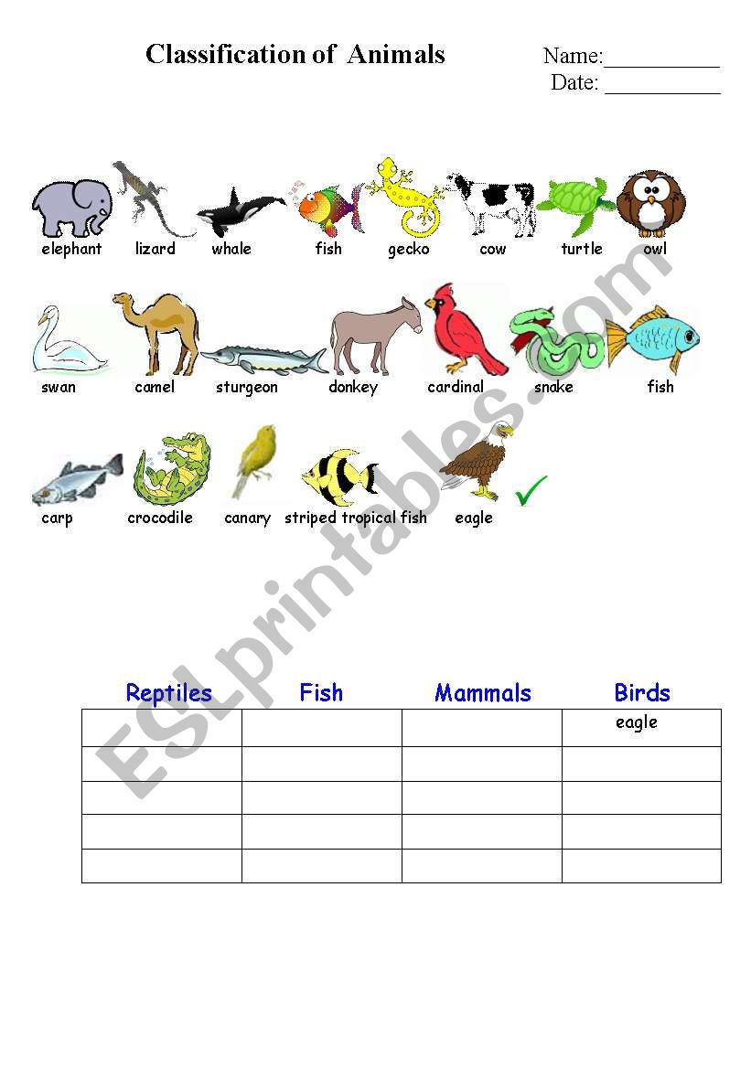 classification of animals 1. worksheet