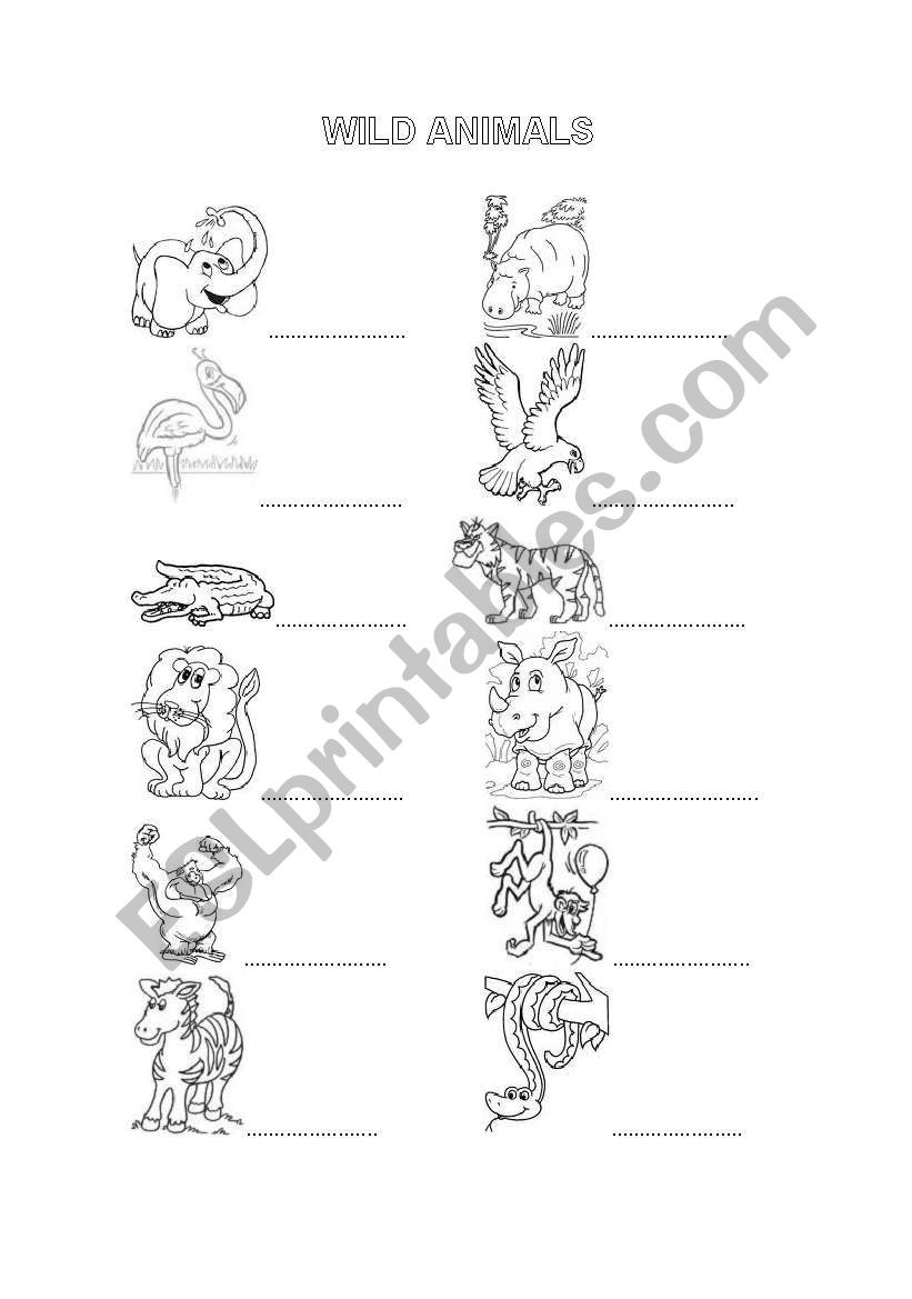 Wild animals worksheet