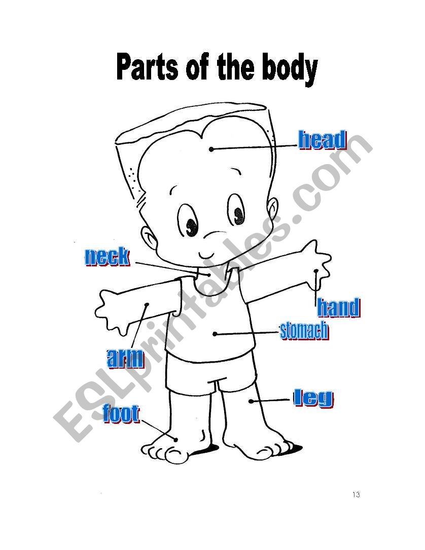 Parts of the body worksheet