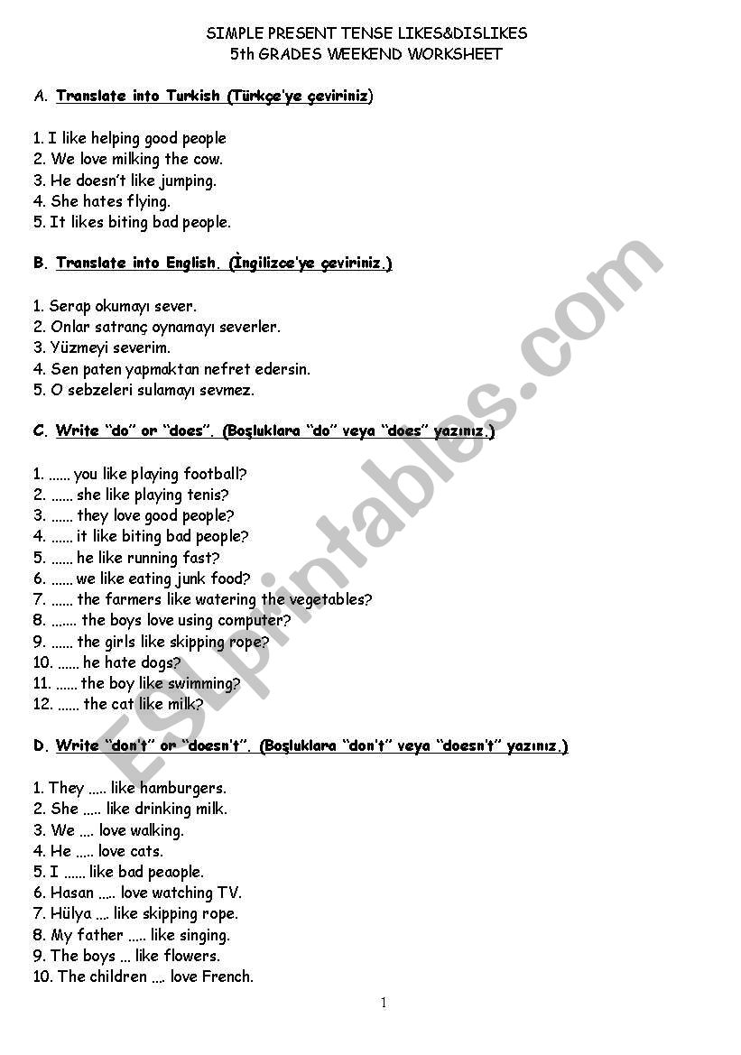 likes dislikes worksheet
