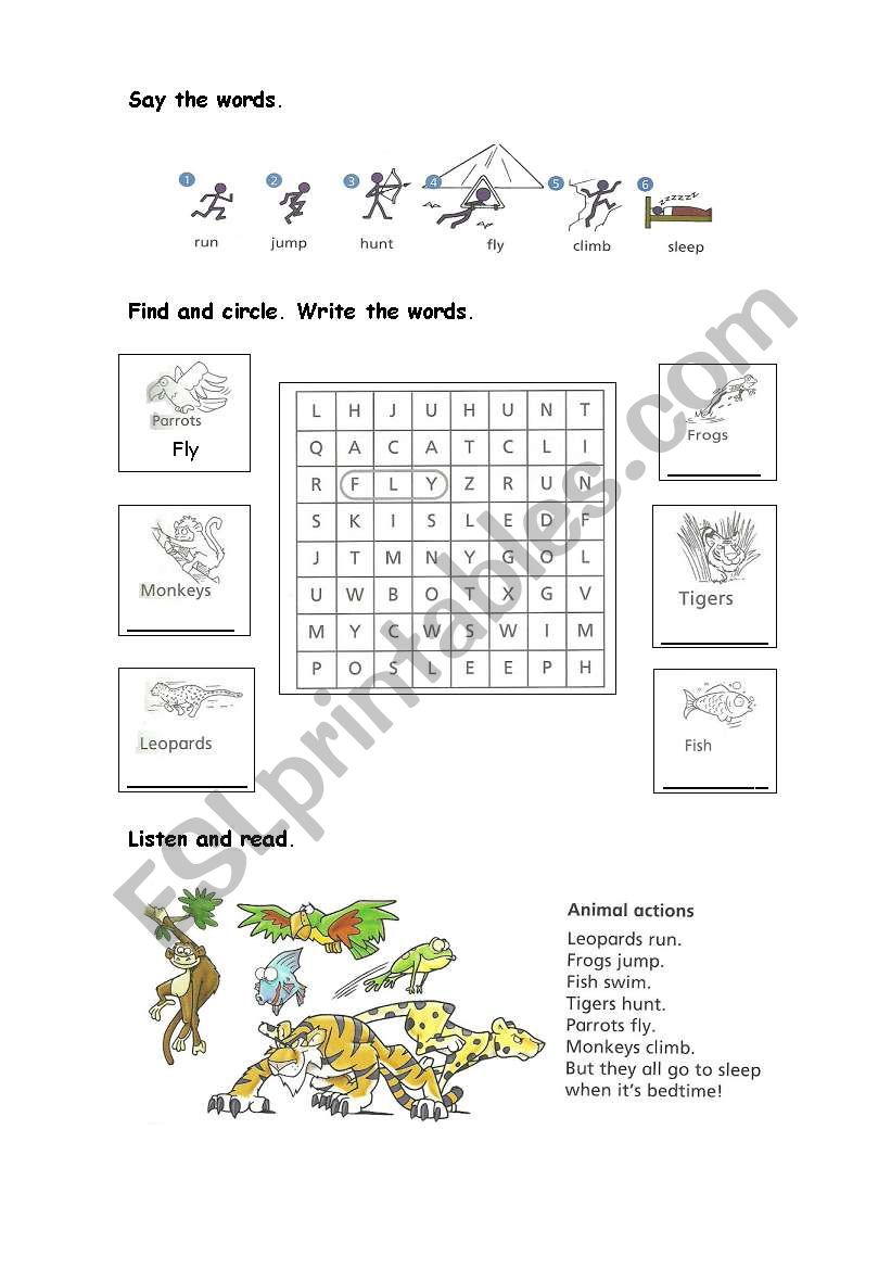 Animals worksheet