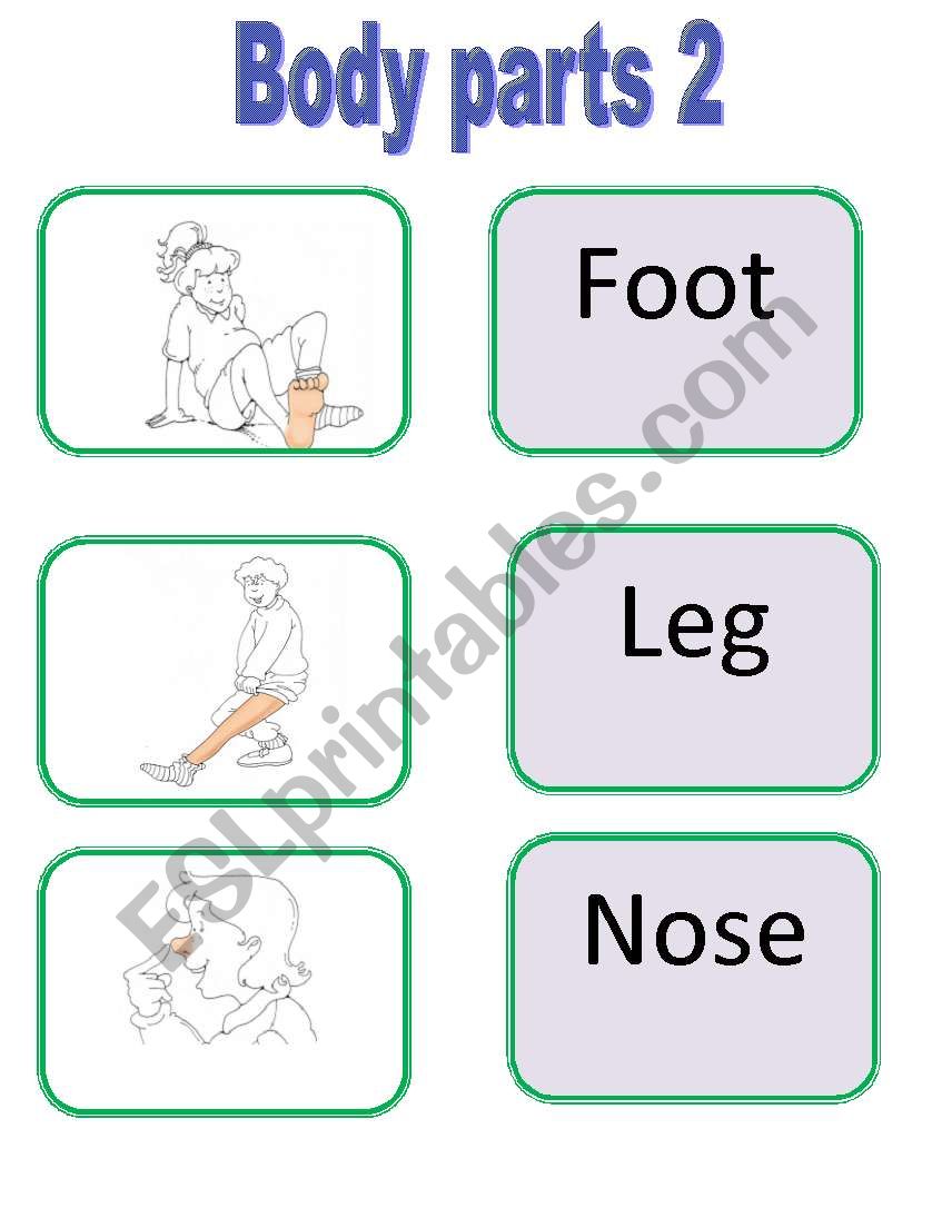 Body parts 2 worksheet