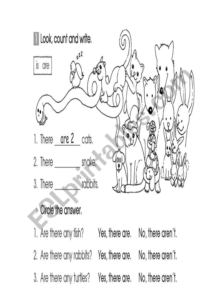There is , there are worksheet