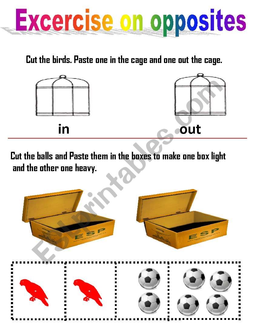 Opposite worksheet worksheet