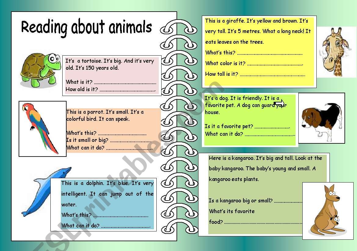 reading about animals - ESL worksheet by tngdt