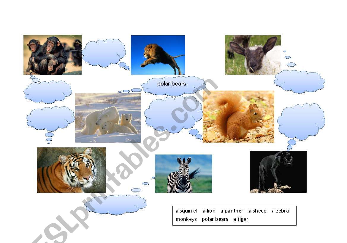 Animals (part 3) worksheet