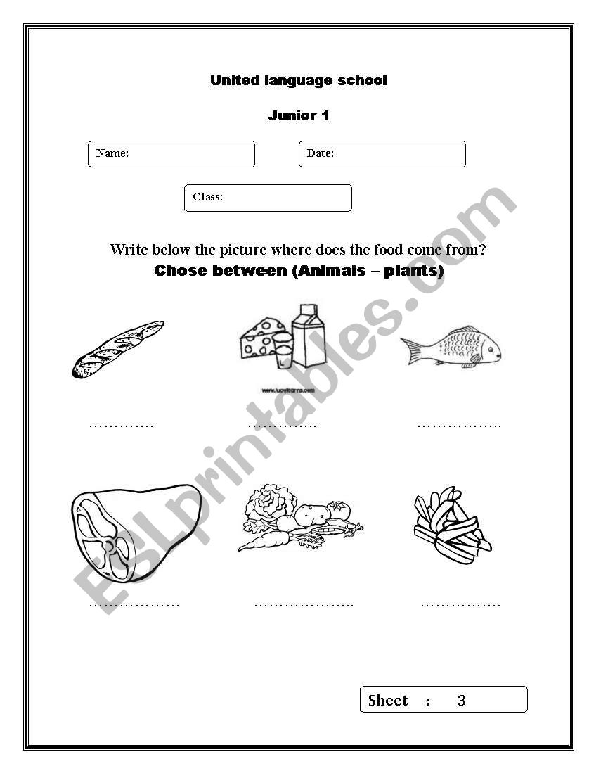 where deos food come from? worksheet