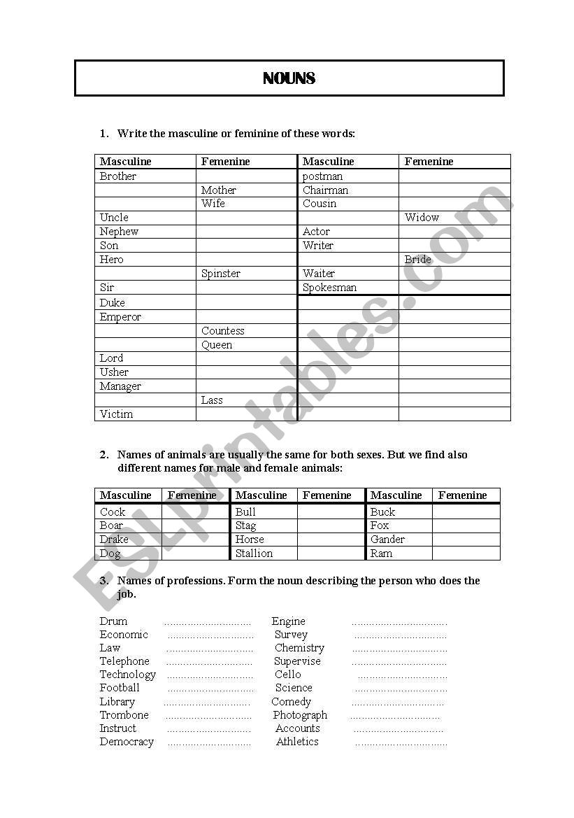 nouns worksheet