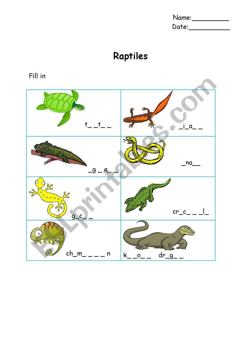 Reptiles filling in worksheet