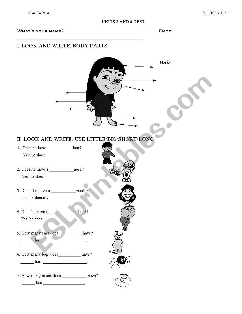 Practice Body Parts worksheet
