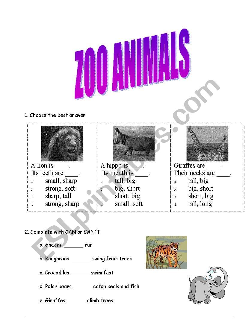 Animal of the Zoo worksheet