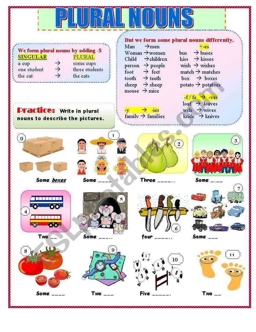 Plural nouns worksheet