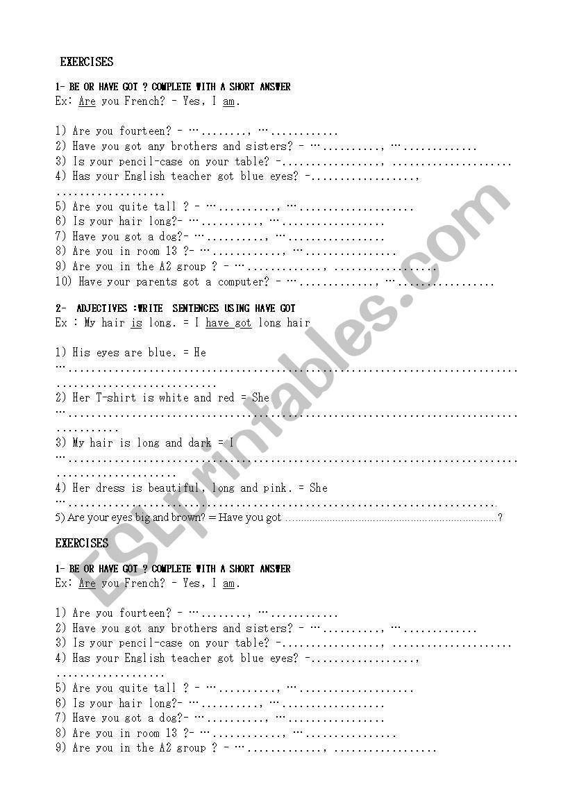 BE OR HAVE GOT SHORT ANSWERS worksheet