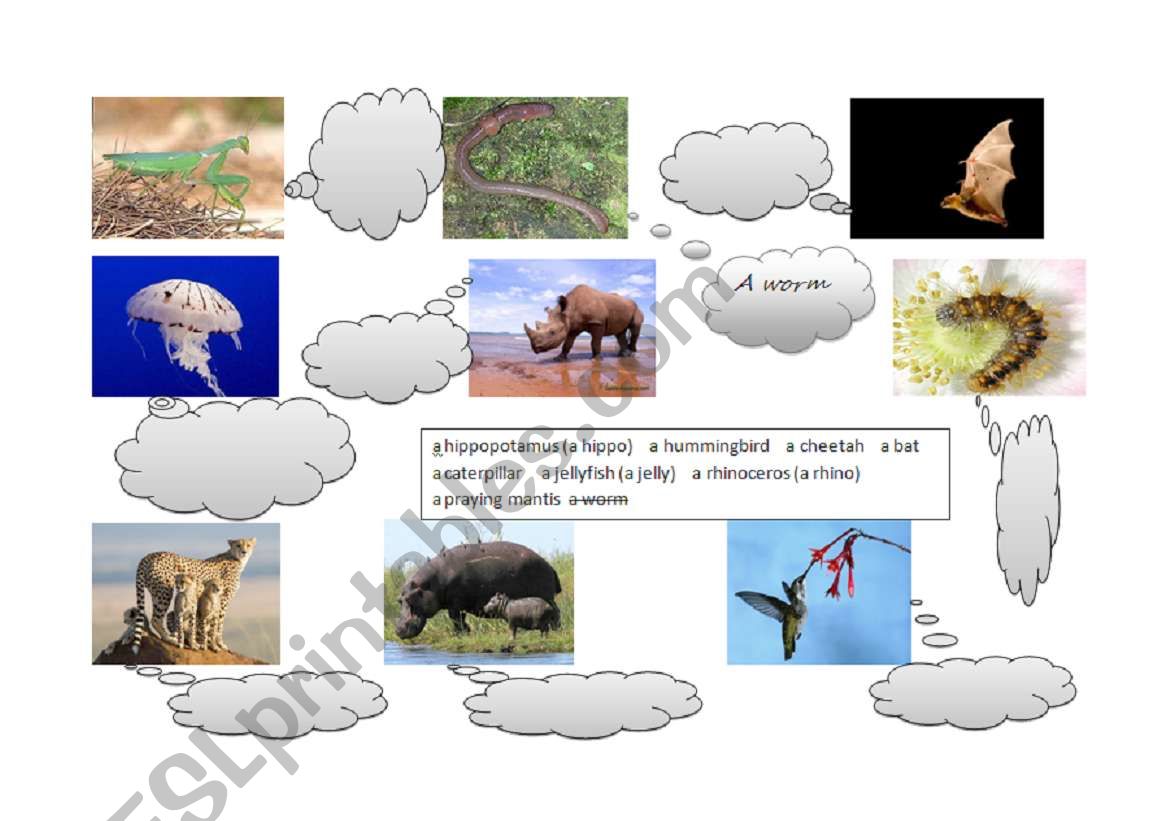Animals (part 4) worksheet