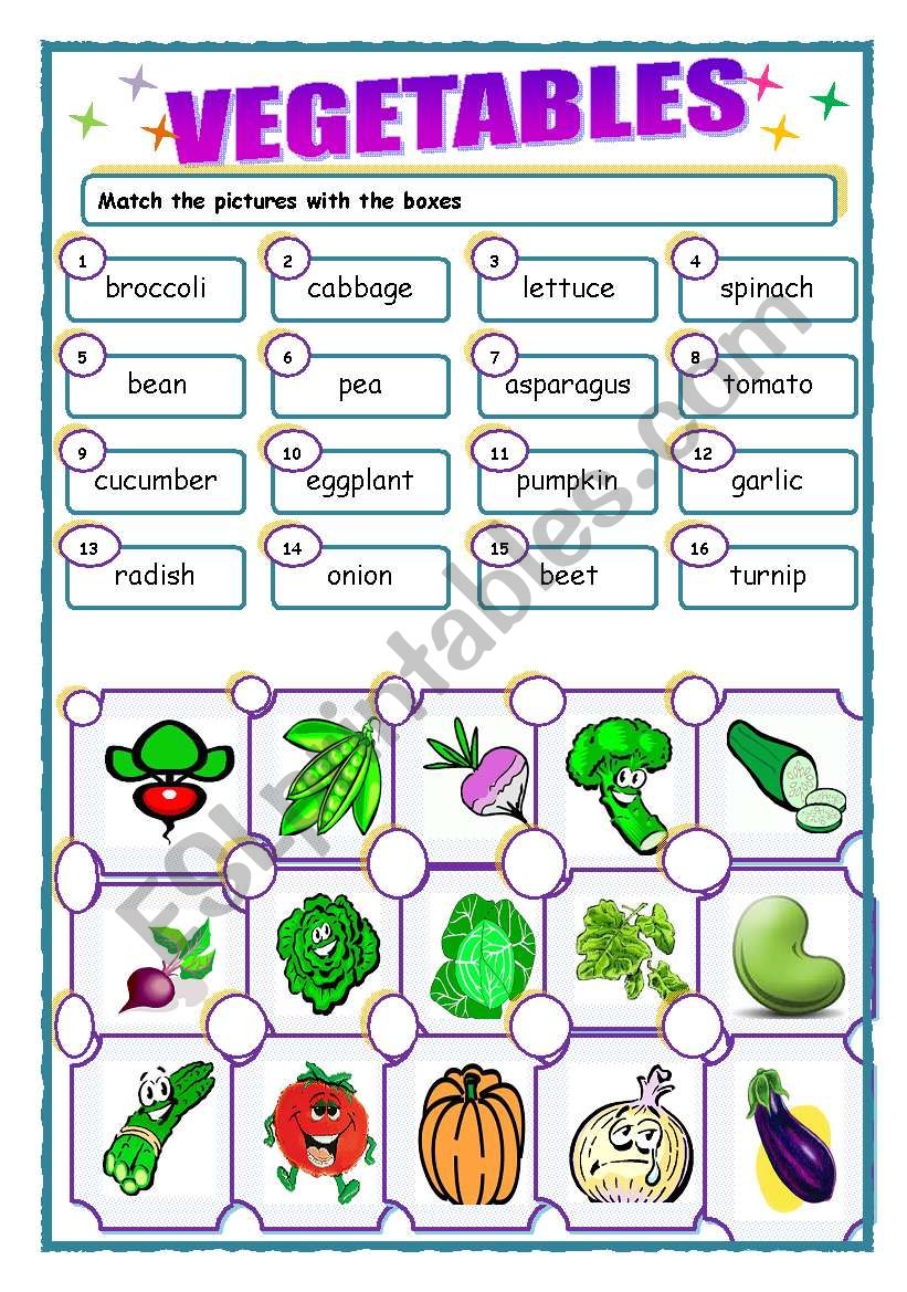 vegetables worksheet